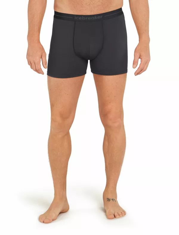 Zdjęcie 1 produktu Bokserki Icebreaker Merino 150 Anatomica Boxers Men