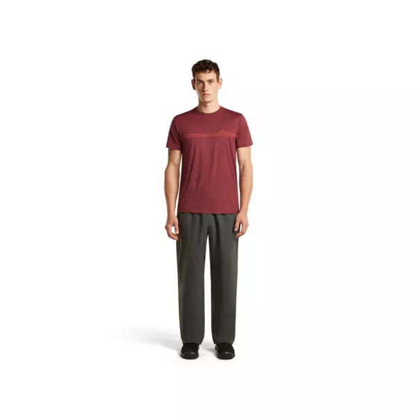 Zdjęcie 4 produktu Koszulka Icebreaker Merino 150 Tech Lite SS Tee Range Stripes Men