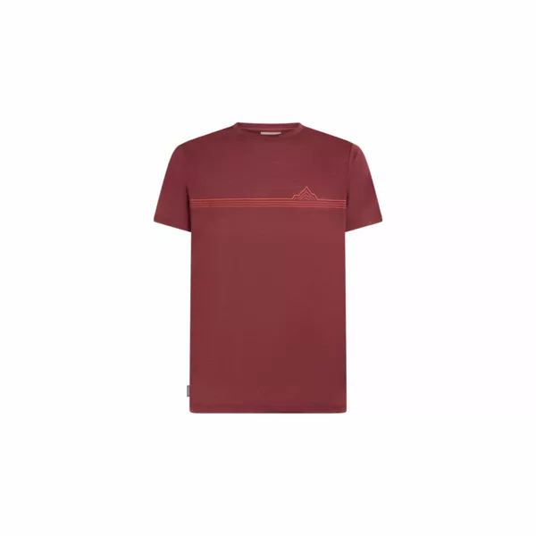 Zdjęcie 0 produktu Koszulka Icebreaker Merino 150 Tech Lite SS Tee Range Stripes Men