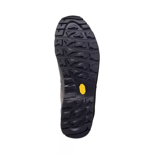 Zdjęcie 5 produktu Buty Alvra II Low GTX Men