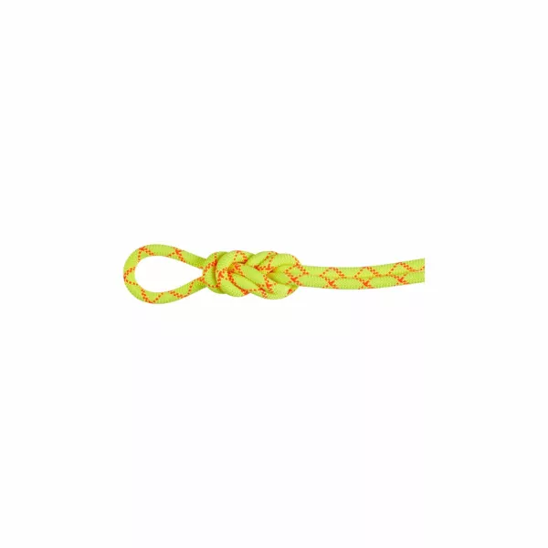 Zdjęcie 0 produktu Lina dynamiczna Mammut 9.5 Alpine Core Protect Dry Rope 60 m