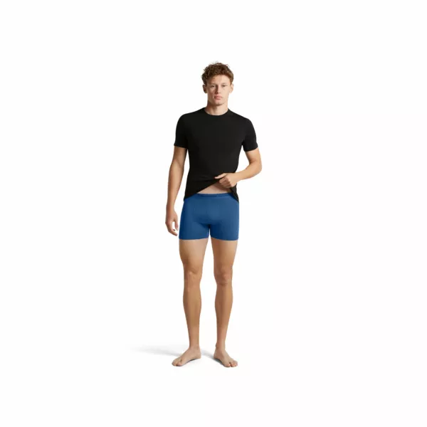 Zdjęcie 5 produktu Bokserki Icebreaker Merino 150 Anatomica Boxers Men