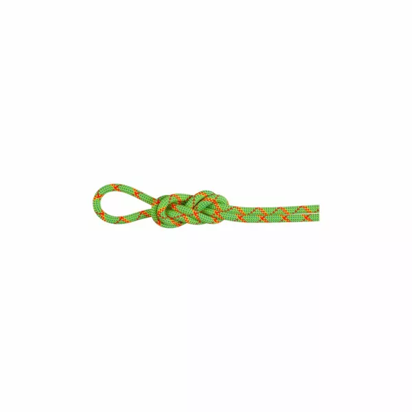 Zdjęcie 0 produktu Lina dynamiczna Mammut 8.0 Alpine Core Protect Dry Rope 60 m