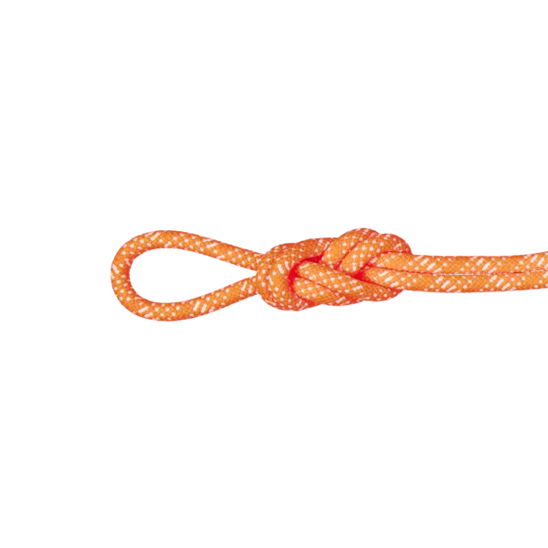 Zdjęcie 0 produktu Lina dynamiczna 10.1 Gym Station Classic Rope