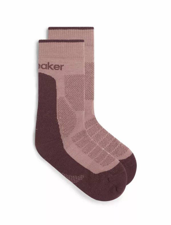 Zdjęcie 1 produktu Skarpety Icebreaker Merino Hike+ Heavy Crew Women