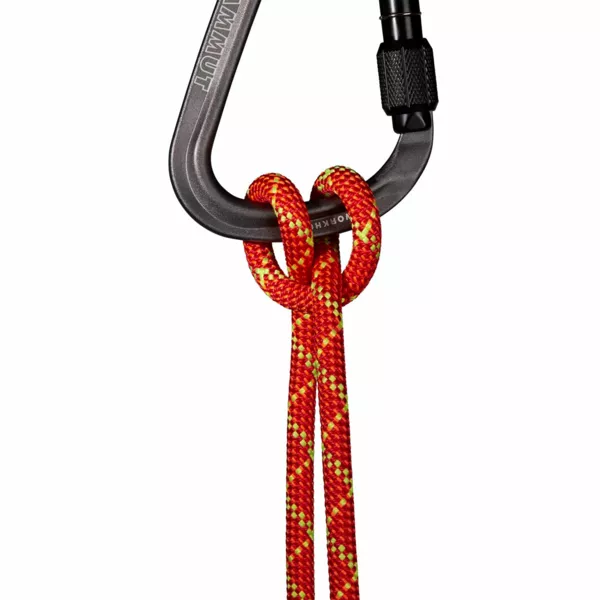 Zdjęcie 1 produktu Lina dynamiczna Mammut 8.0 Alpine Core Protect Dry Rope 60 m