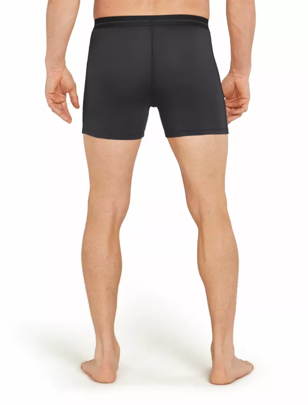 Zdjęcie 2 produktu Bokserki Icebreaker Merino 150 Anatomica Boxers Men