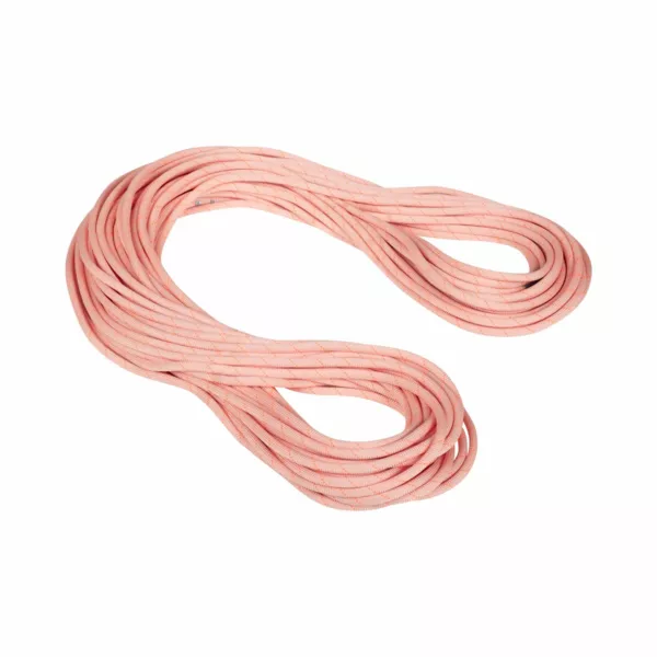 Zdjęcie 2 produktu Lina dynamiczna 9.9 Gym Workhorse Classic Rope