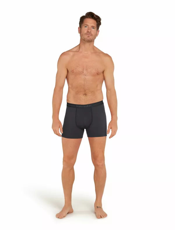 Zdjęcie 3 produktu Bokserki Icebreaker Merino 150 Anatomica Boxers Men