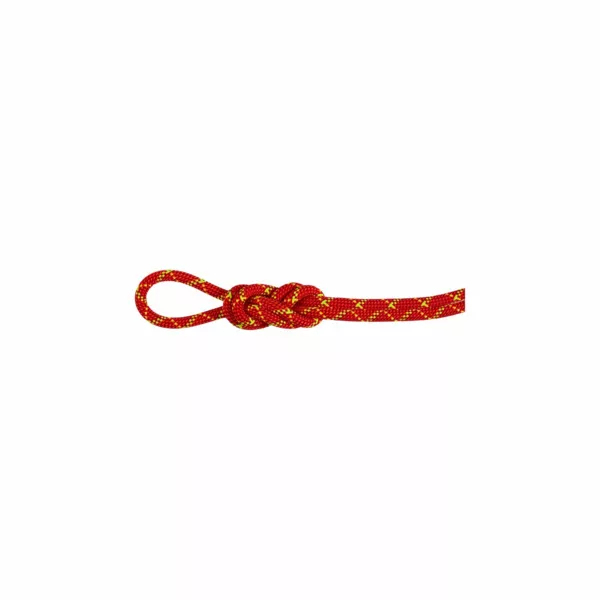 Zdjęcie 0 produktu Lina dynamiczna Mammut 8.0 Alpine Core Protect Dry Rope 60 m