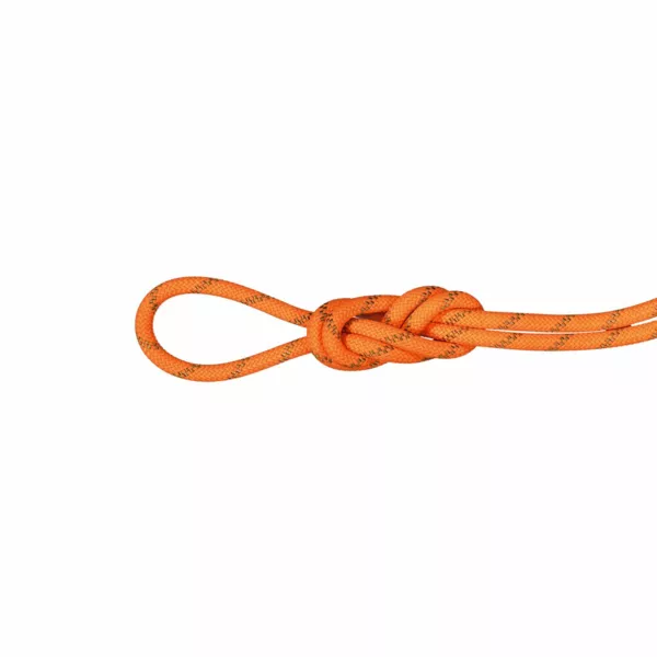 Zdjęcie 0 produktu Lina dynamiczna Mammut 8.0 Alpine Dry Rope 60m