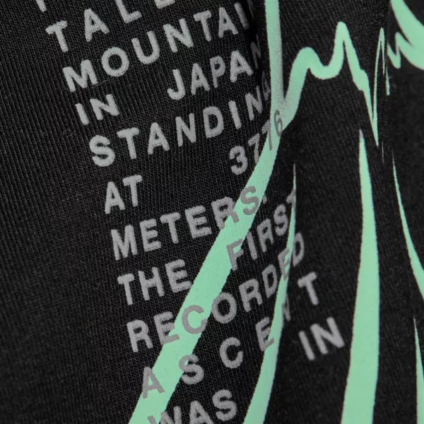 Zdjęcie 4 produktu Koszulka Mountain T-Shirt Men Fujiyama