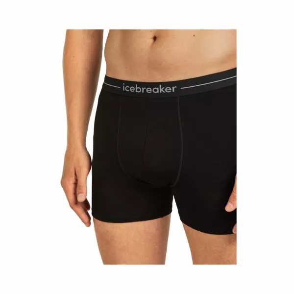 Zdjęcie 3 produktu Bokserki Icebreaker Merino 150 Anatomica Boxers Men
