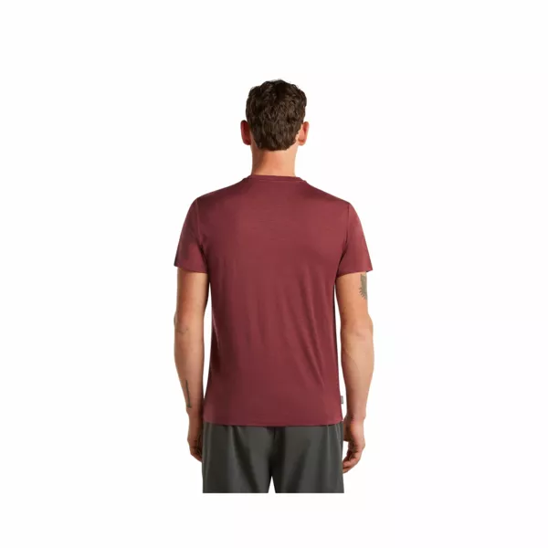 Zdjęcie 2 produktu Koszulka Icebreaker Merino 150 Tech Lite SS Tee Range Stripes Men