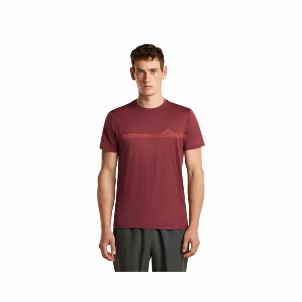 Zdjęcie 1 produktu Koszulka Icebreaker Merino 150 Tech Lite SS Tee Range Stripes Men