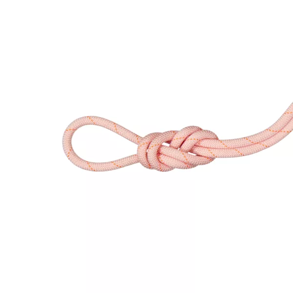 Zdjęcie 1 produktu Lina dynamiczna 9.9 Gym Workhorse Classic Rope