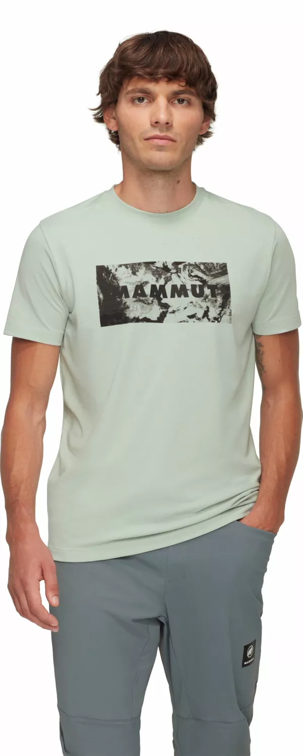 Zdjęcie 1 produktu Koszulka Mammut Trovat T-Shirt Men Logo