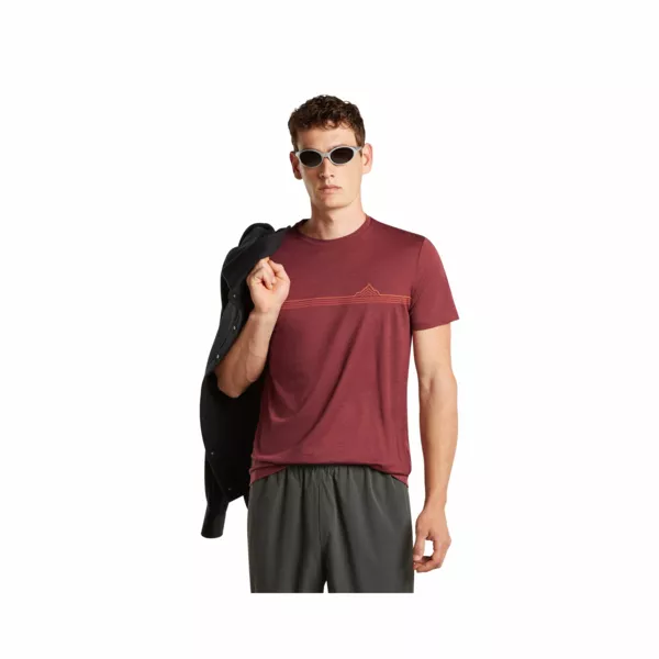 Zdjęcie 5 produktu Koszulka Icebreaker Merino 150 Tech Lite SS Tee Range Stripes Men