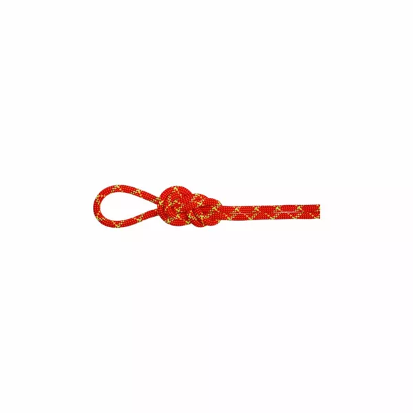 Zdjęcie 0 produktu Lina dynamiczna Mammut 8.0 Alpine Core Protect Dry Rope 50 m