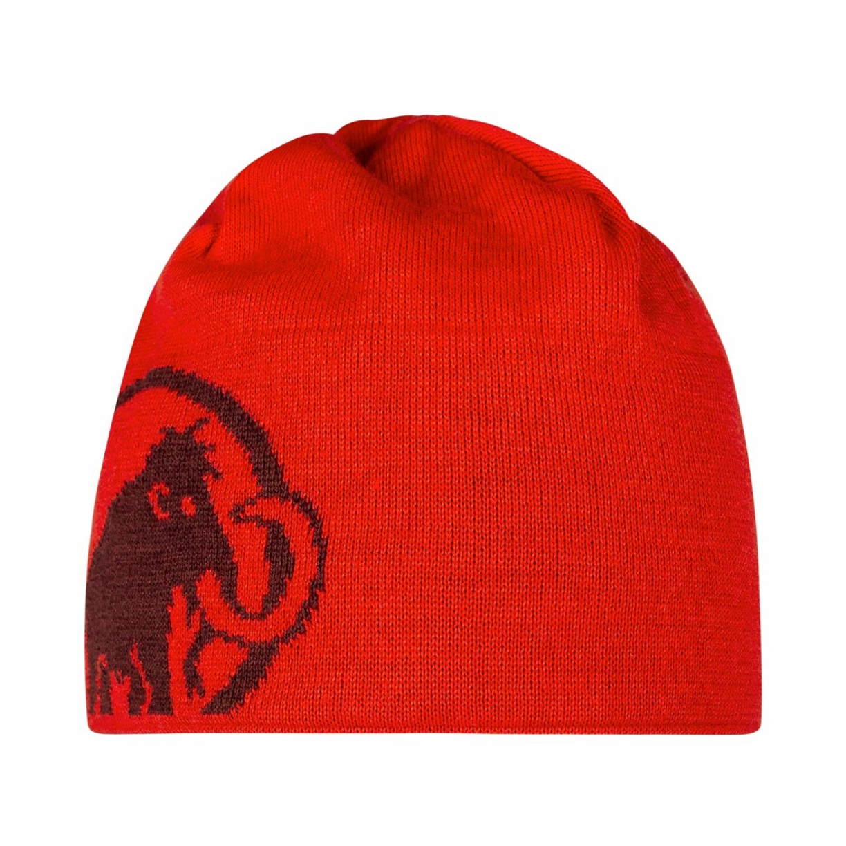 Zdjęcie 0 produktu Czapka Mammut Logo Beanie