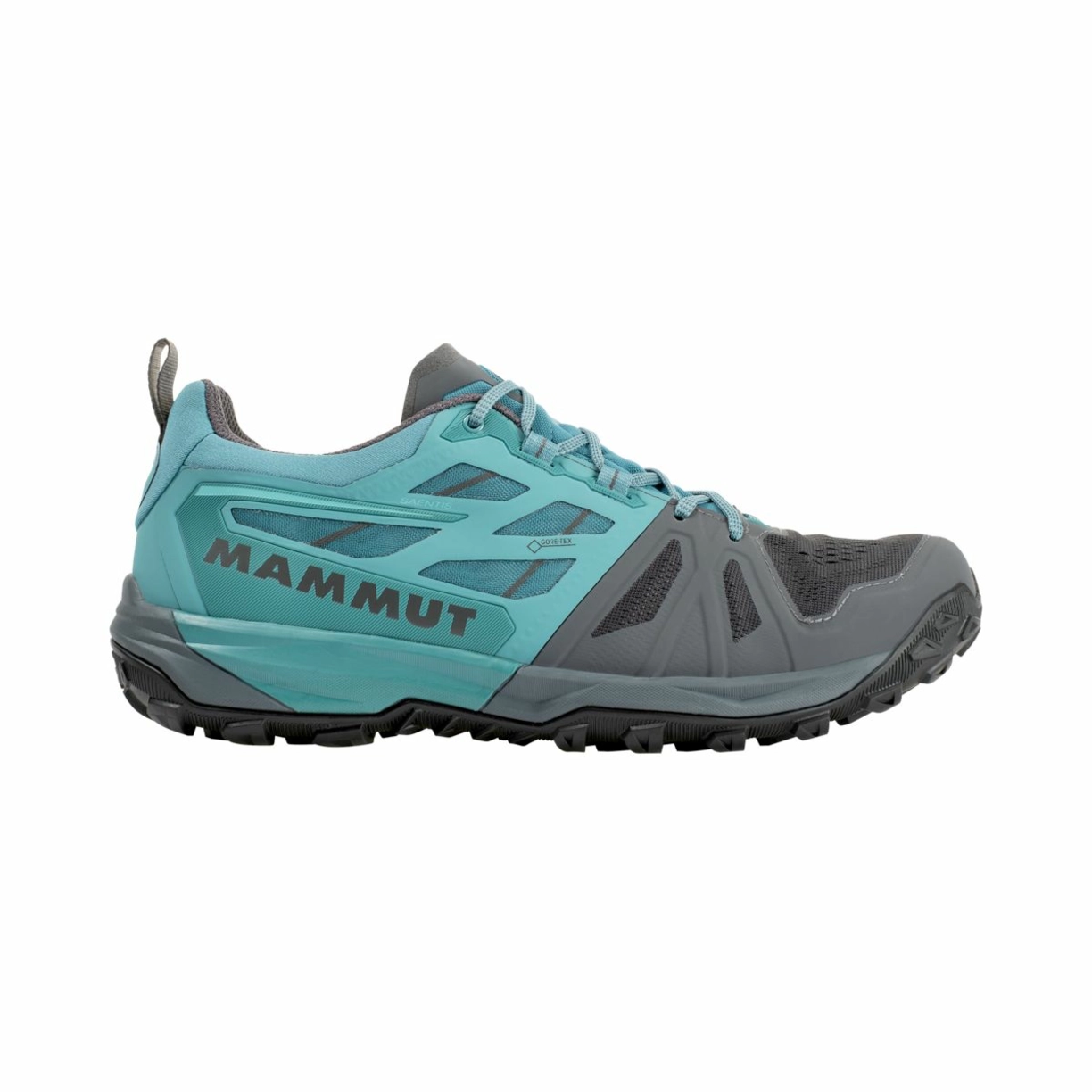 Zdjęcie 0 produktu Buty Mammut Saentis Low GTX Men