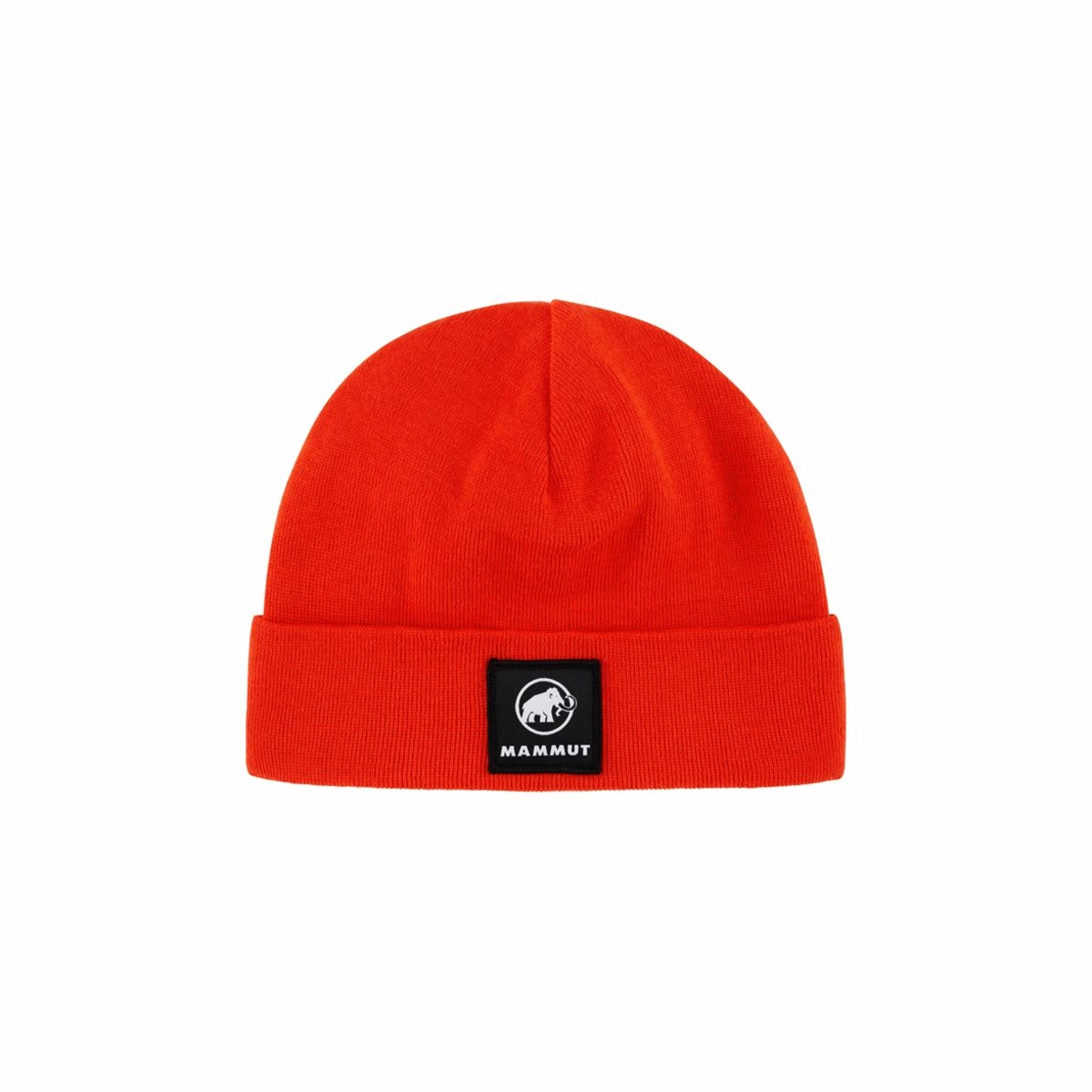 Zdjęcie 0 produktu Czapka Fedoz Beanie