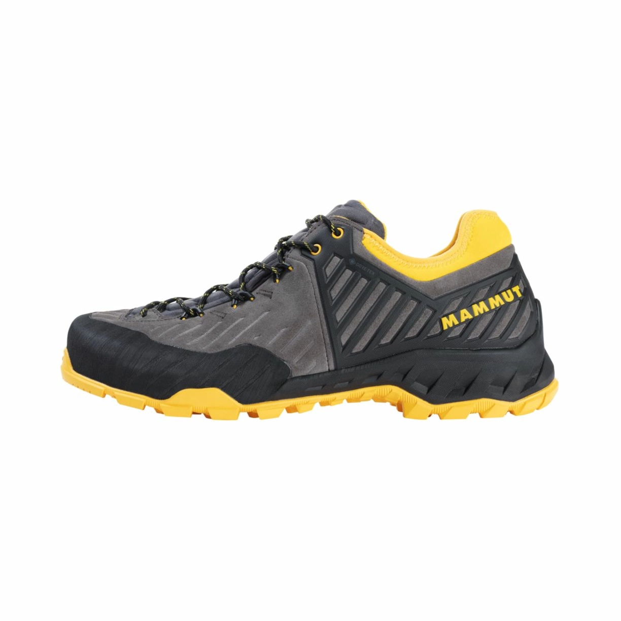 Zdjęcie 0 produktu Alnasca II Low GTX Men dark titanium-freesia.6.5