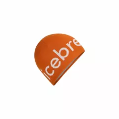 Zdjęcie produktu Czapka Icebreaker Merino Beanie