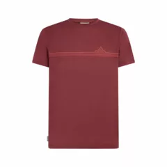 Zdjęcie produktu Koszulka Icebreaker Merino 150 Tech Lite SS Tee Range Stripes Men