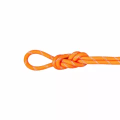 Zdjęcie produktu Lina dynamiczna Mammut 9.5 Alpine Dry Rope 70 m