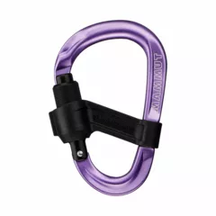 Zdjęcie produktu Karabinek Mammut Smart HMS 2.0 Screwgate Carabiner
