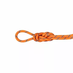 Zdjęcie produktu Lina dynamiczna Mammut 9.0 Alpine Sender Dry Rope 50 m