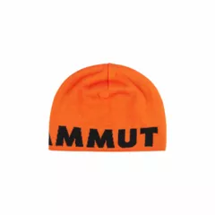 Zdjęcie produktu Czapka Mammut Logo Beanie