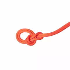 Zdjęcie produktu Lina dynamiczna Mammut 9.8 Crag Dry Rope 50m