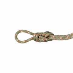 Zdjęcie produktu Lina dynamiczna Mammut 9.5 Gym Classic Rope 50m