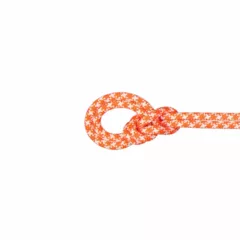 Zdjęcie produktu Lina dynamiczna Mammut 9.5 Crag Classic Rope 50 m