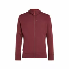 Zdjęcie produktu Bluza Icebreaker Merino 260 Quantum LS Zip Hoodie Men
