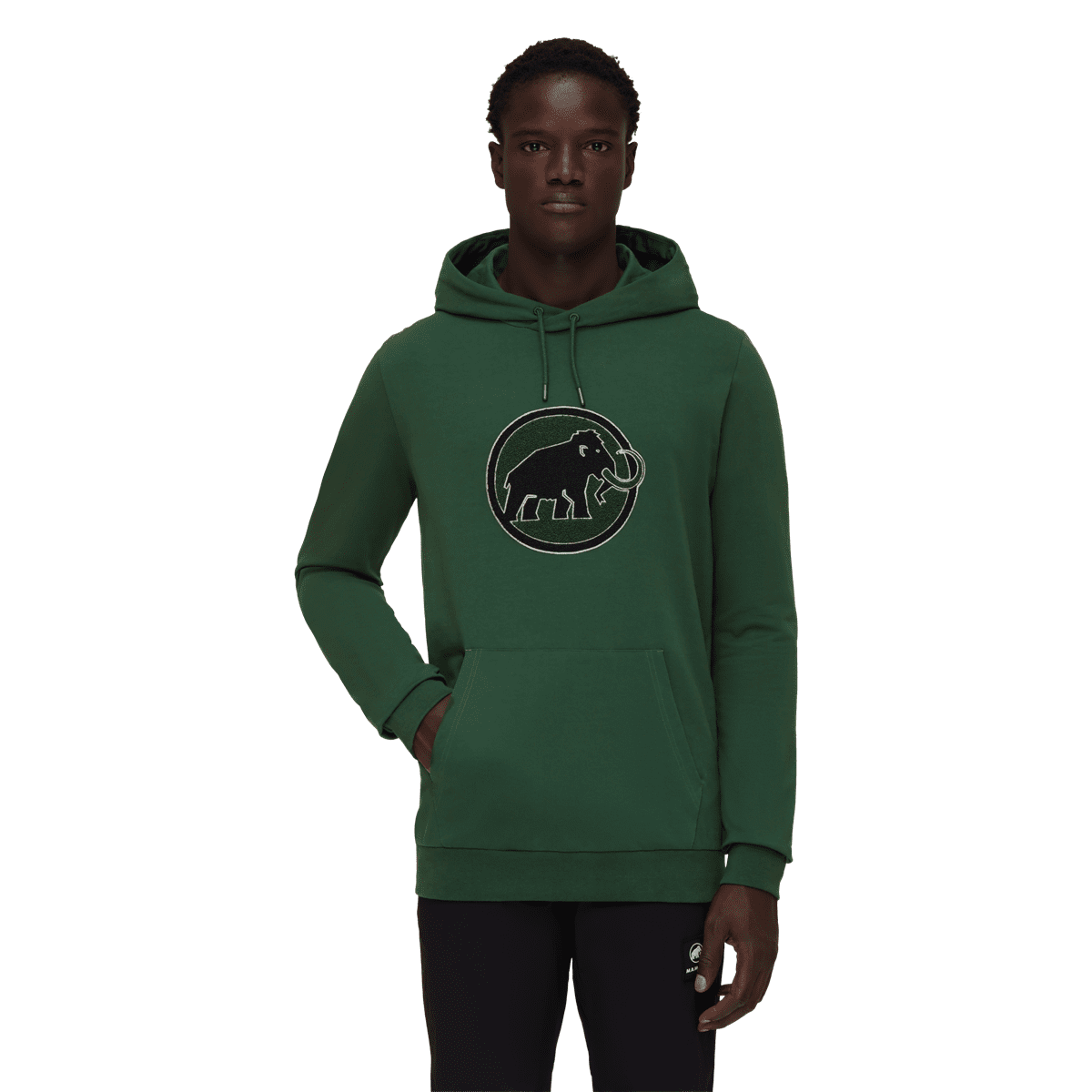 Mammut on sale logo hoodie