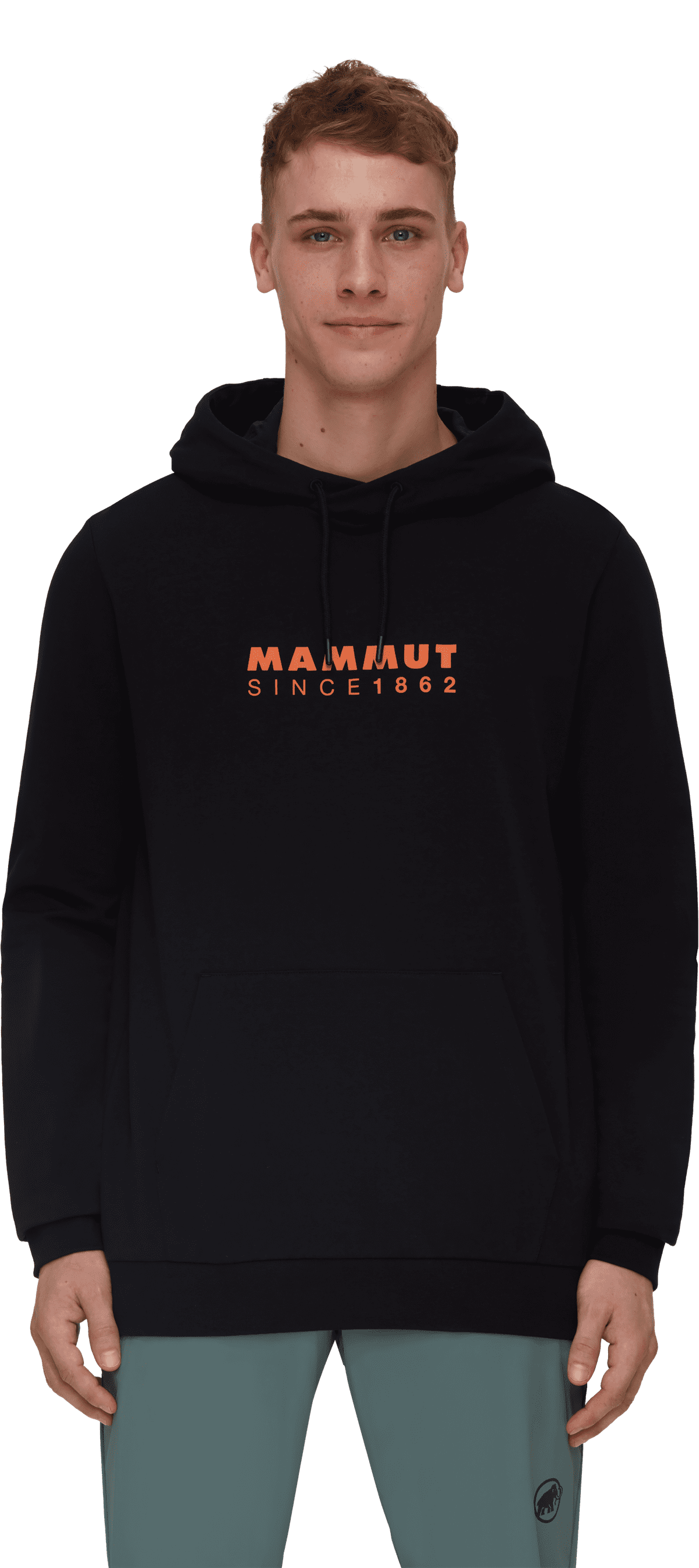 mammut logo ml hoody men