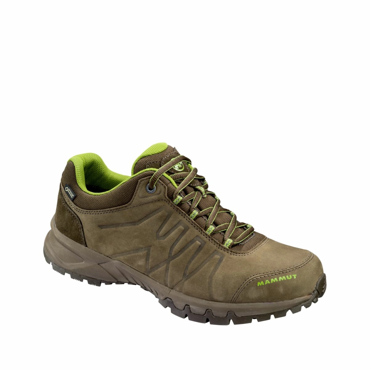 Zdjęcie 0 produktu Mercury III Low GTX Men bark-aloe.6
