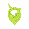Zdjęcie 0 produktu Chusta Arcteryx Sinsolo Bandana