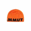 Zdjęcie 2 produktu Czapka Mammut Logo Beanie