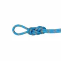 Zdjęcie 1 produktu Lina dynamiczna Mammut 8.7 Alpine Sender Dry Rope 70m