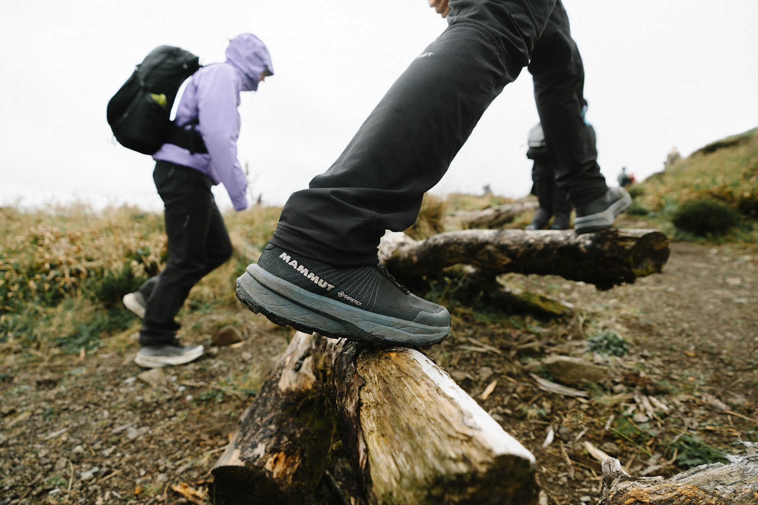 jakie buty trekkingowe wybrać